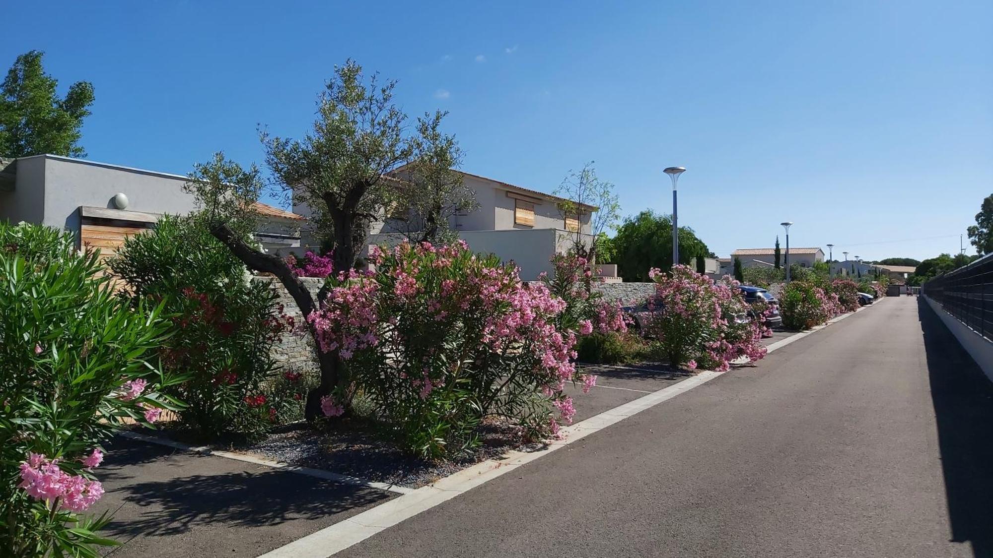 Villa Home Holiday A Cala Rossa Lecci Dış mekan fotoğraf